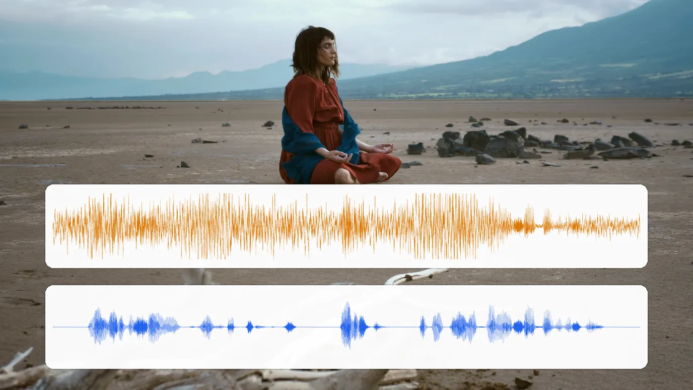 Risultato di esempio — Rimuovere il rumore del vento da video e audio, gratis e online